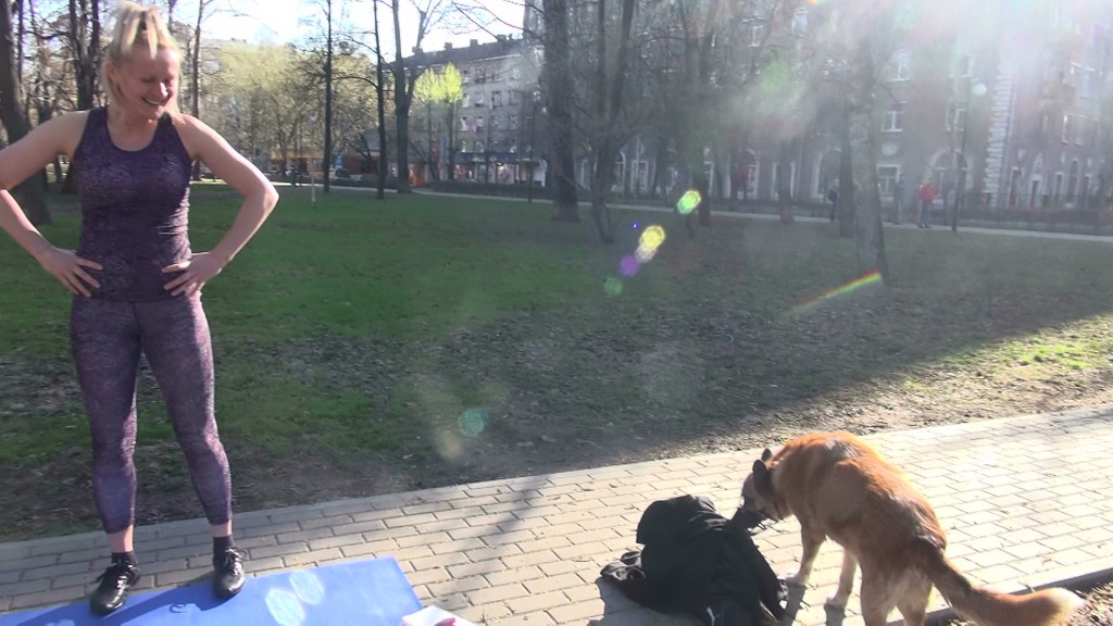 собака бабака