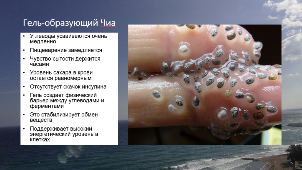 гель-образующие свойства Чиа