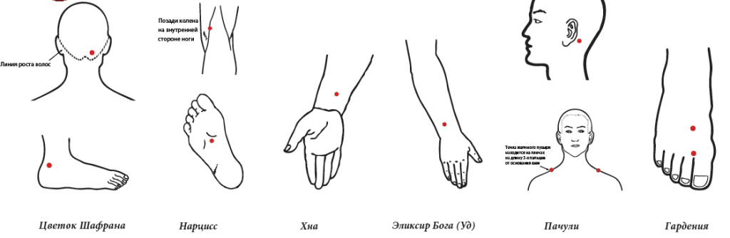 меридианы 7-12