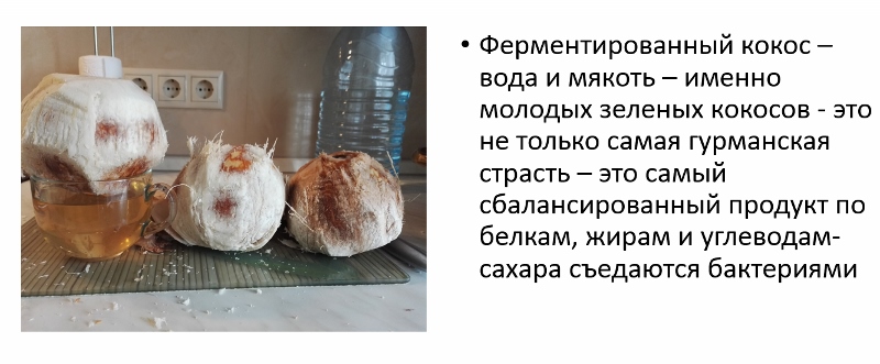 priglashayu-na-vebinar-detoks-snizhenie-vesa-magiconfit-fermented-coconut (800x331)