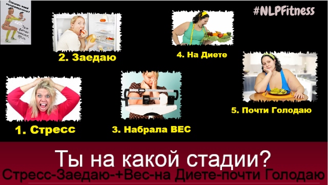 стадия (640x361)