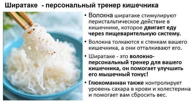 Ширатаке персональный тренер кишечника. Интуитивное питание Милены Позняк