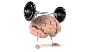 eksklyuzivnaya-programmatrening-i-fitnes