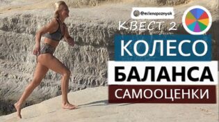 Колесо баланса самооценки Милена Позняк
