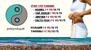 1 этап регуляции